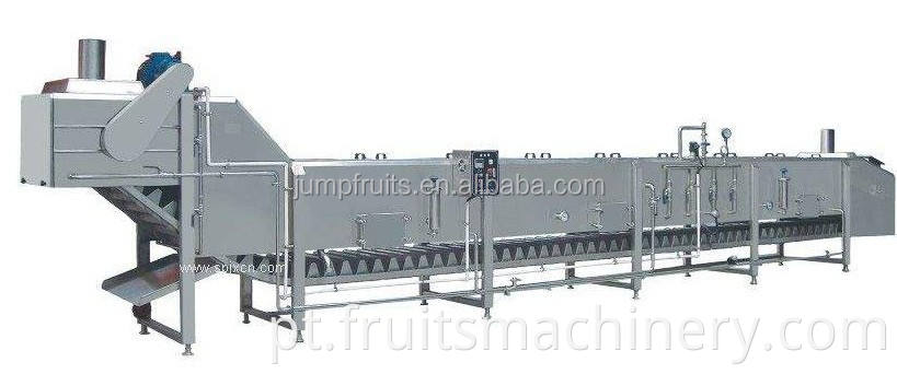 Blanching machine in fruit and vegetable equipments